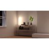 Müller-Licht Tint LED Plinth Verlichting 10 W RGBW - Afbeelding 3