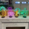 Neon LED-verlichting, decoratielampen, op batterijen