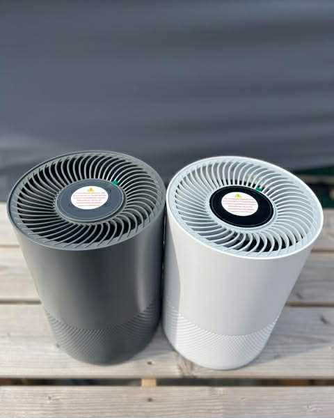 Luchtreiniger Luchtverfrisser EPA-filter Actieve koolstoffilter 30W Ionenfunctie