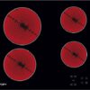 Whirlpool AKT 8090 NE - Keramische Kookplaat - Afbeelding 5