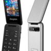 Energizer E282SCD 4G Smart Klaptelefoon (Zilver)