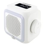 Schwaiger RAFM0100 Stopcontact Radio