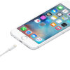 Originele Apple USB-A naar Lightning Kabel 0.5 Meter Wit - Afbeelding 3